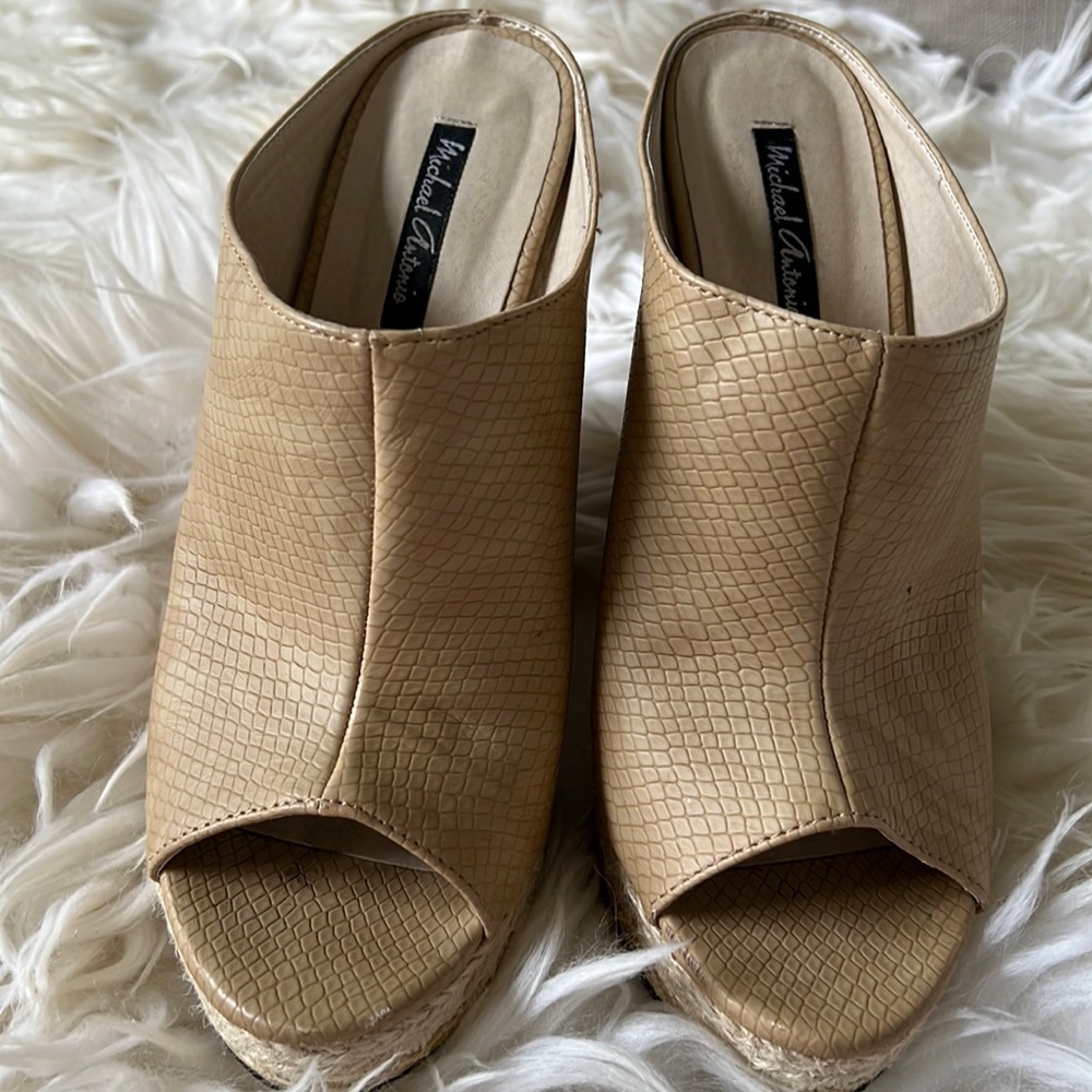 Michael Antonio wedge